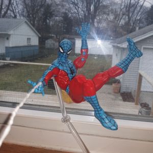 Webs