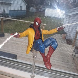 Webs