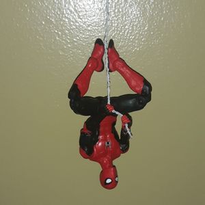 Webs