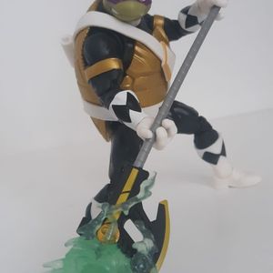 Teenage Mutant Power Rangers