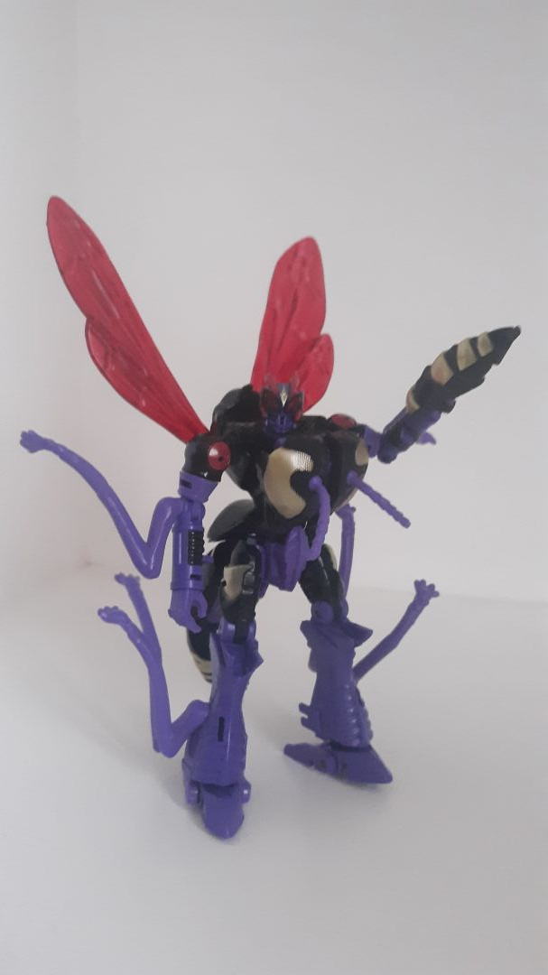 Thumbnail 5