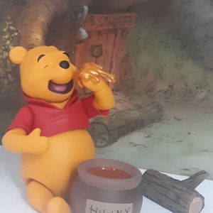 A Normal day for Winnie The Pooh