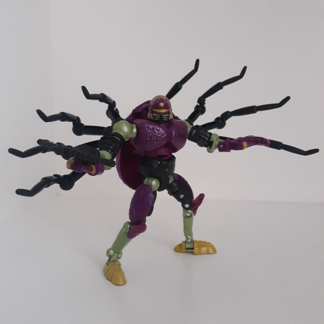 Tarantulas - Image 3