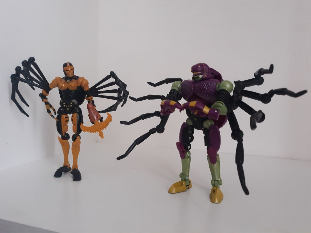 Tarantulas - Image 4
