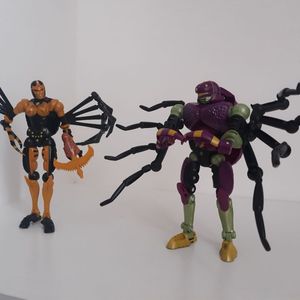 Tarantulas
