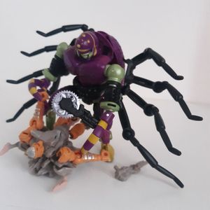 Tarantulas