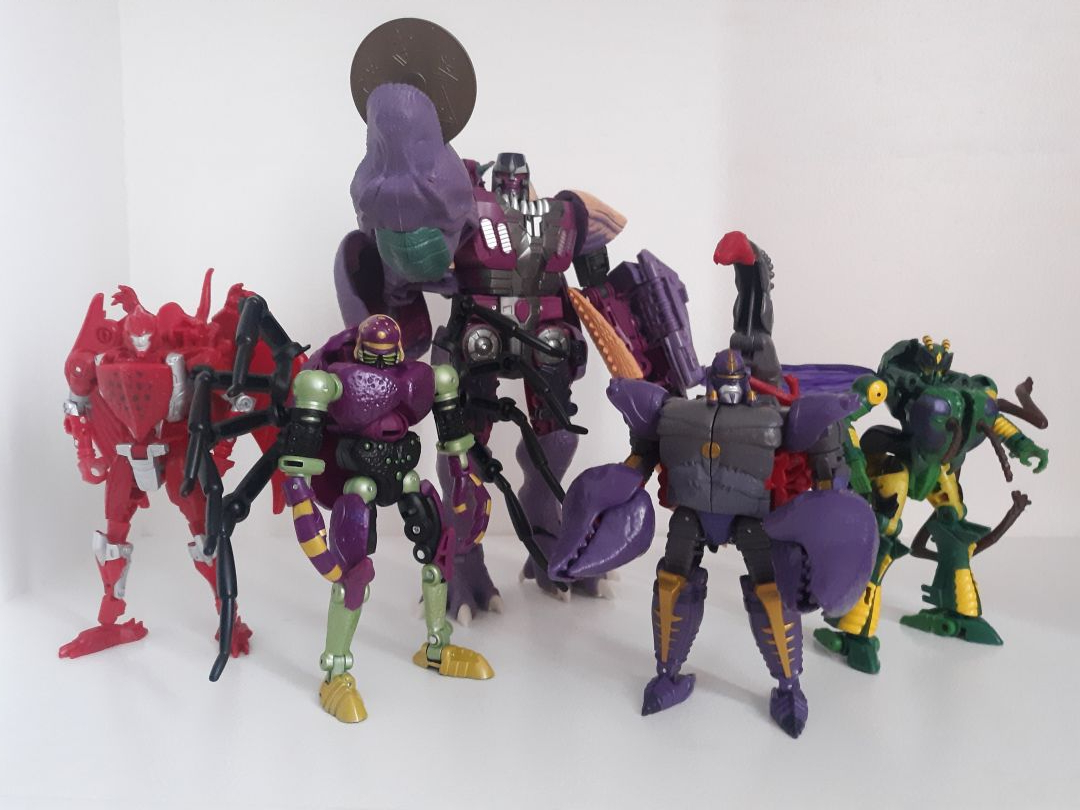 Tarantulas - Image 6