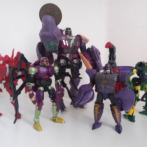 Tarantulas