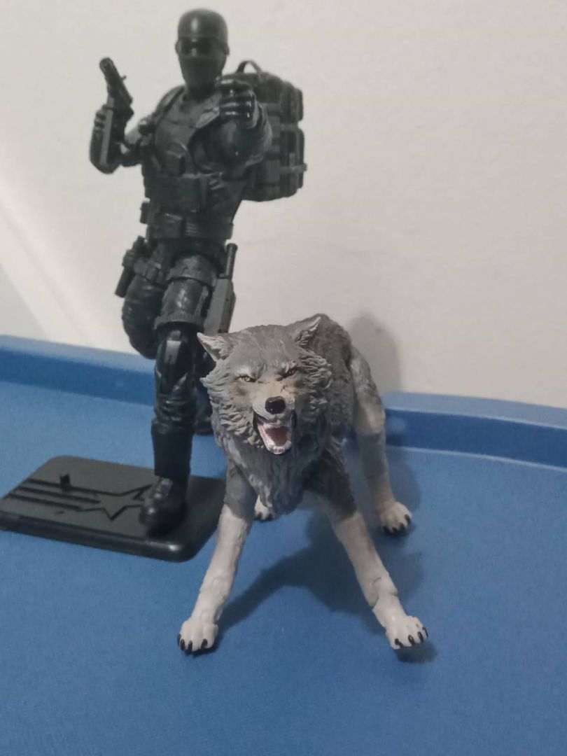 Commando Snake Eyes & Timber - Image 2