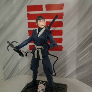 Blue Ninja Akiko