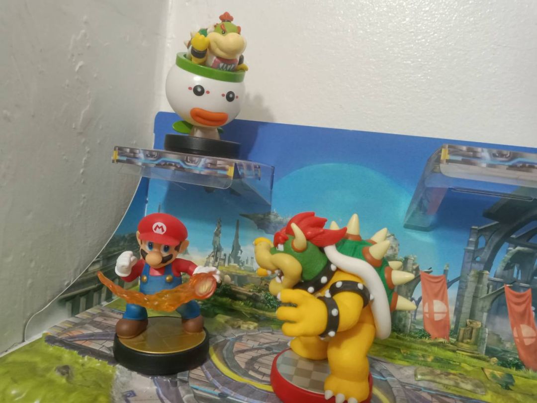 Koopa Father & Son - Image 4