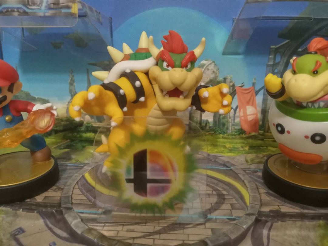 Koopa Father & Son - Image 5