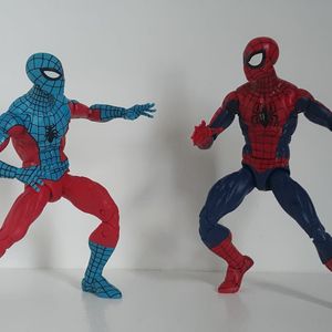 Battle of the Webs
