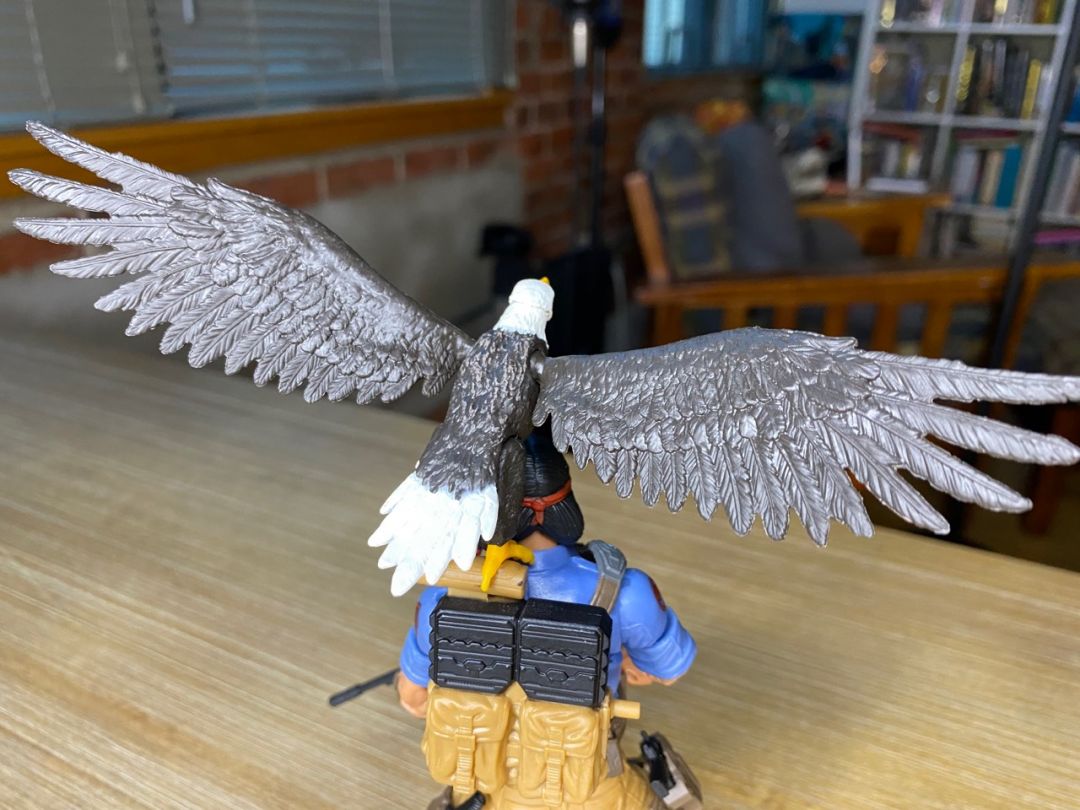 Spirit & Freedom - Image 13
