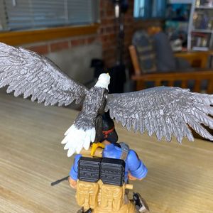 Spirit & Freedom