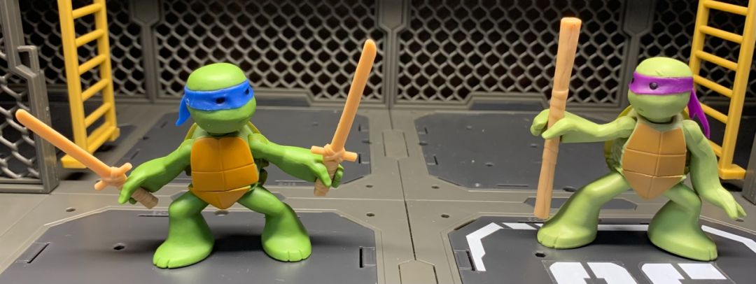 Ninjas in Training: Leonardo & Donatello - Image 1