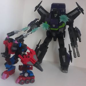 SG Slicer and Roritchi