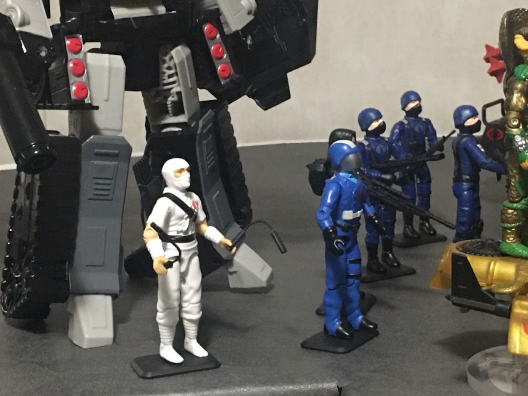 Cobra leadership - Image 1