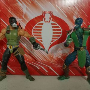 Reptilian Fight