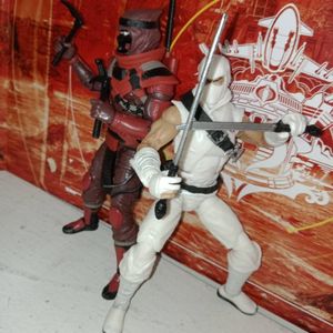 Operation Red Storm