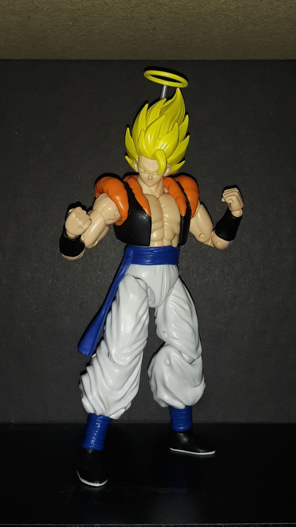 Super Gogeta - Image 1