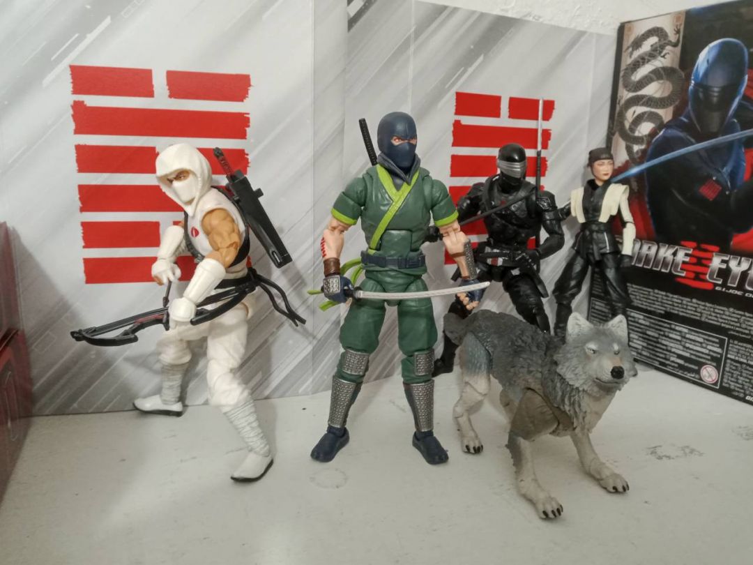 Classified Ninja Force - Image 1