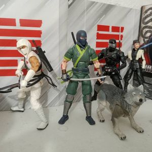 Classified Ninja Force