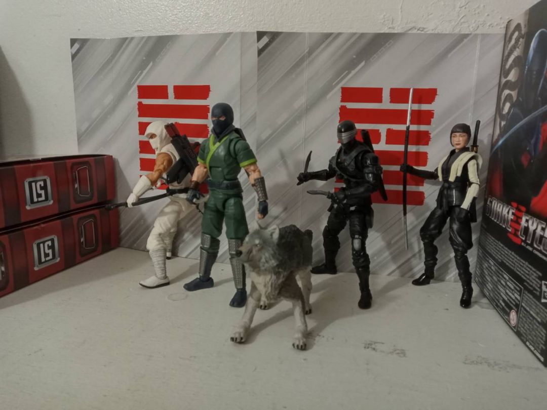 Classified Ninja Force - Image 2