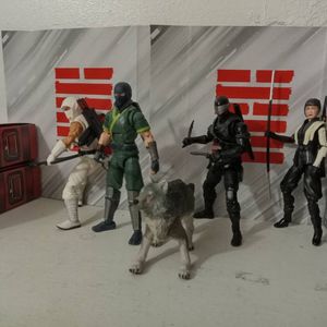 Classified Ninja Force