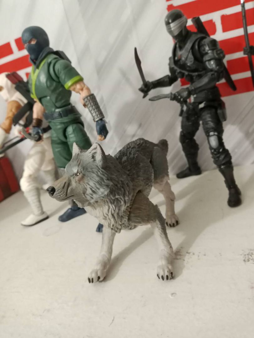 Classified Ninja Force - Image 3