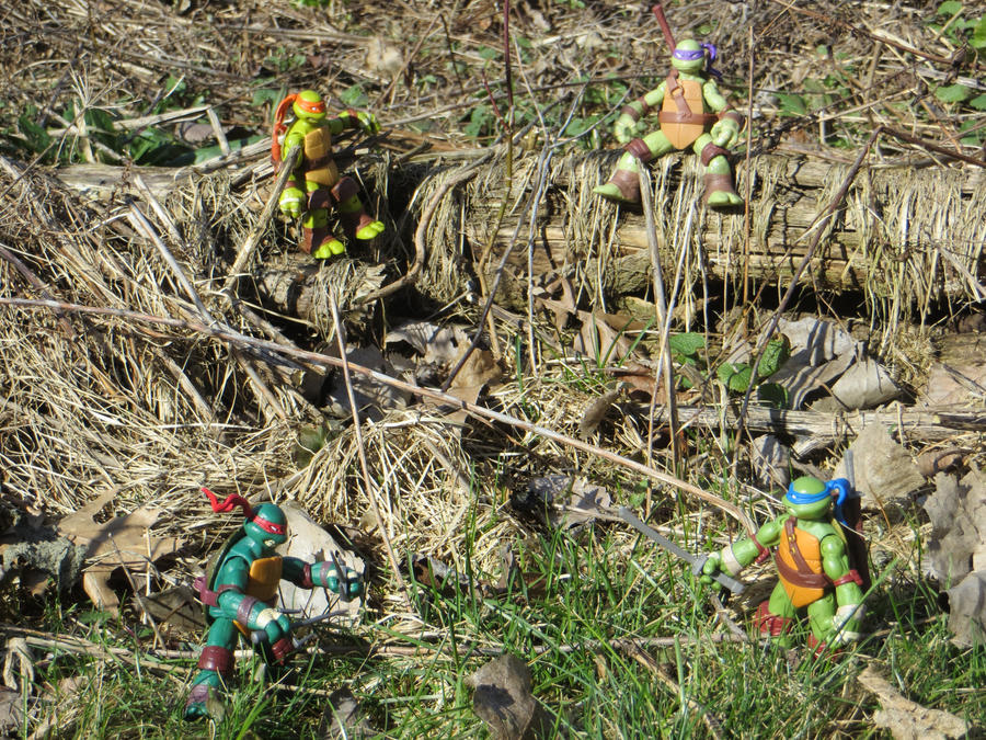 Time in the Outdoors - Image 1