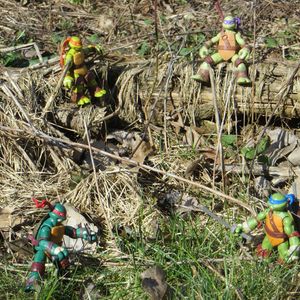 Time in the Outdoors