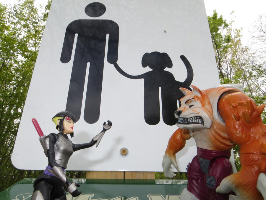 Do you have a leash? - Image 1