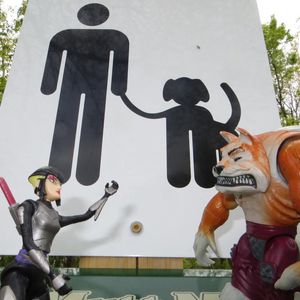 Do you have a leash?