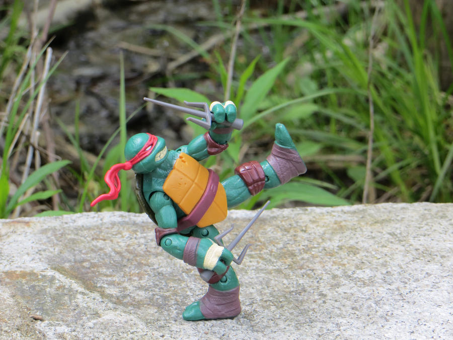 Turtles in the Woods - Image 1