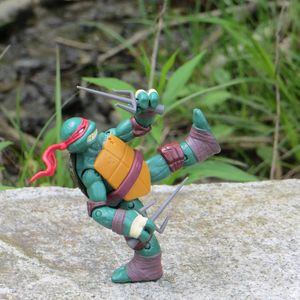 Turtles in the Woods