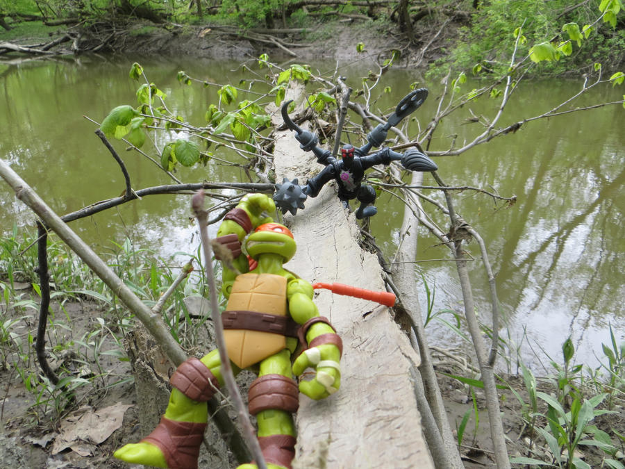 Turtles in the Woods - Image 3