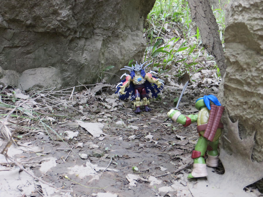 Turtles in the Woods - Image 4