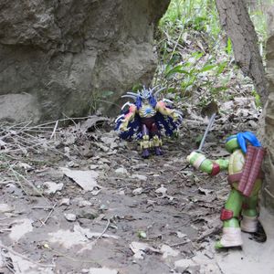 Turtles in the Woods