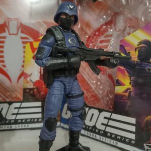 Cobra's Senior Officers
