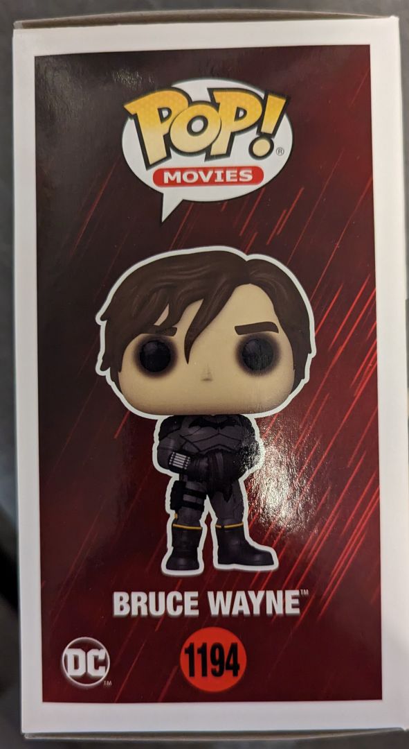 Bruce Wayne (The Batman Unmasked) - Image 4