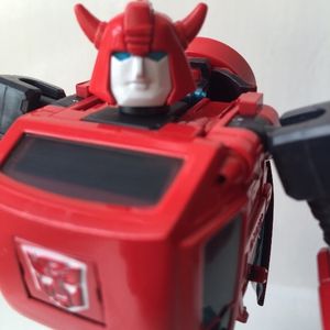 Bumble Red Body