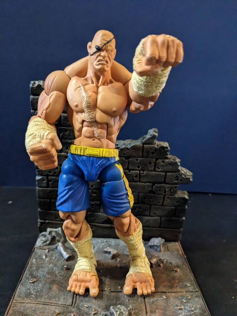 Sagat - Image 1