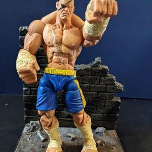 Sagat