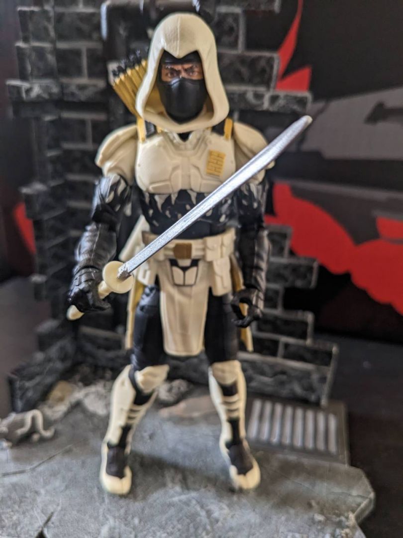 Storm Shadow Arctic Mission - Image 1