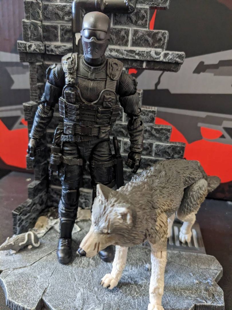 Snake Eyes & Timber - Image 1