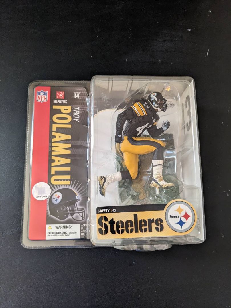 Troy Polamalu - Image 1