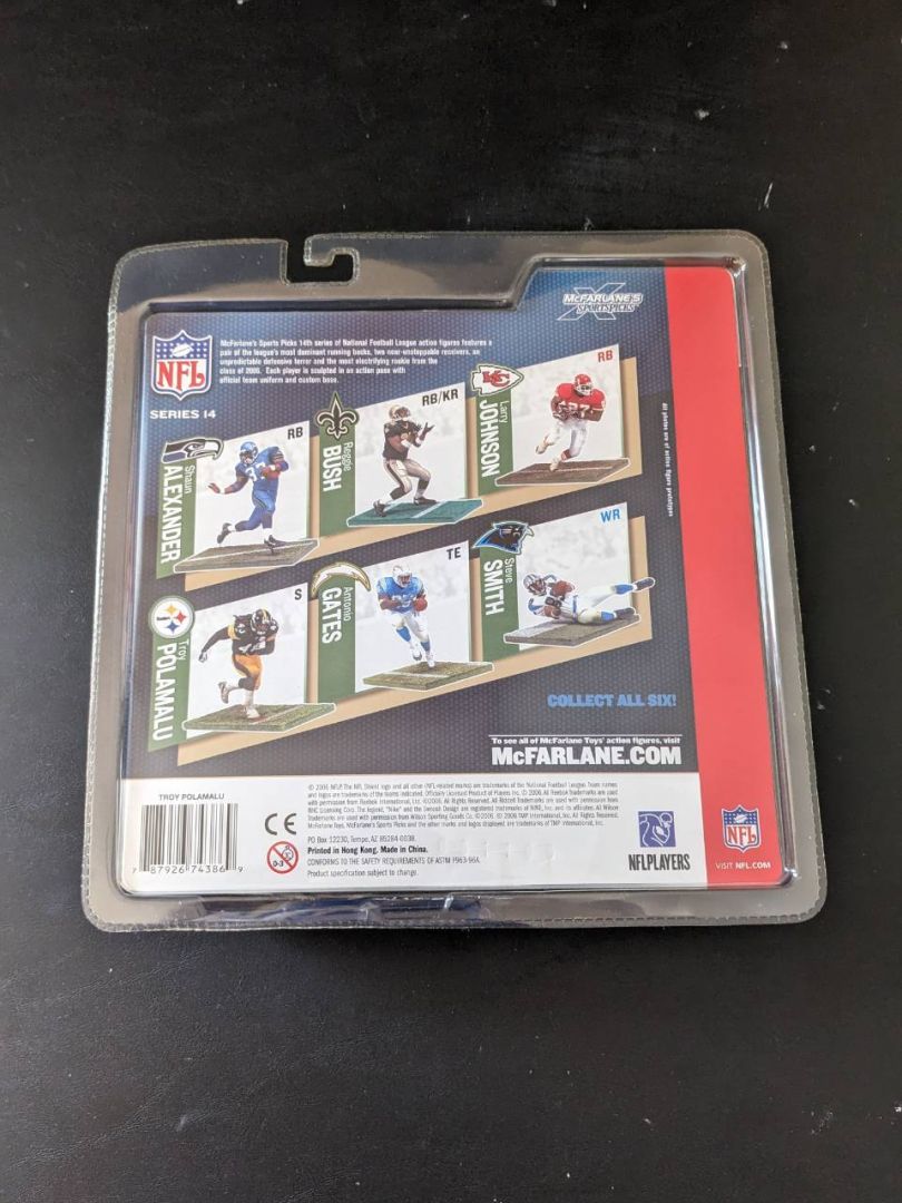 Troy Polamalu - Image 2