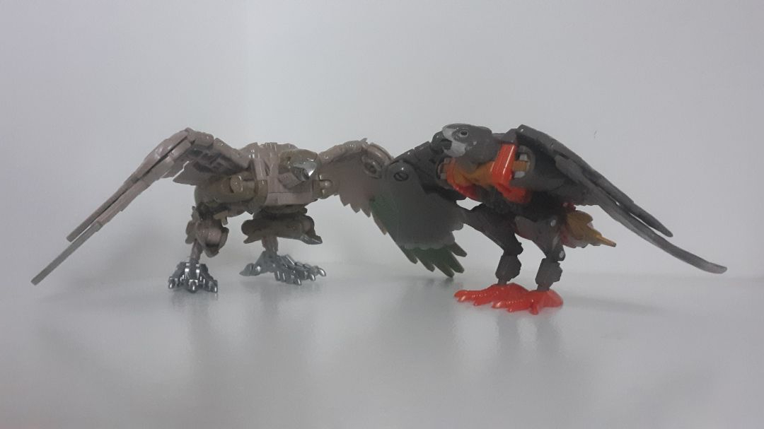 Airazor - Image 5