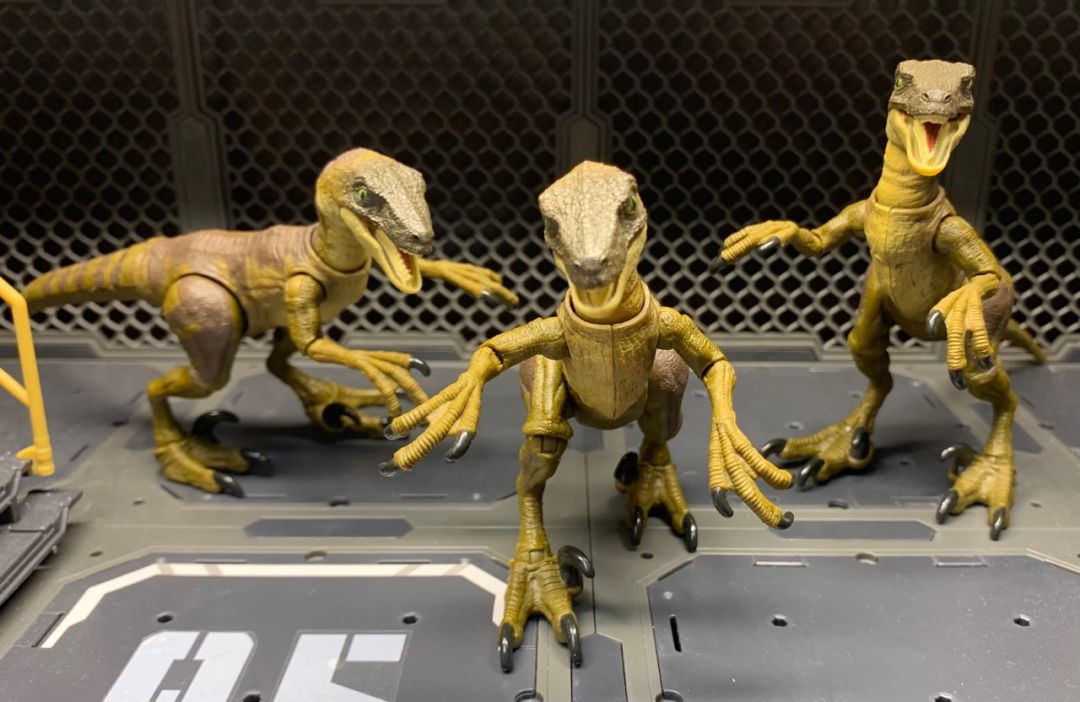 Velociraptor - Image 1